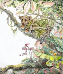 Foto op Plexiglas Tropical jungle with jaguar lying on branches © Liliia Chyzhevska