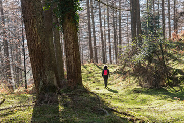 Fototapeta premium Hiker in Gorbea Natural Park