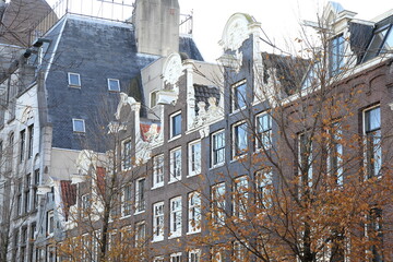 Historic Canal House Facades with Fall Foliage in Amsterdam, Holland