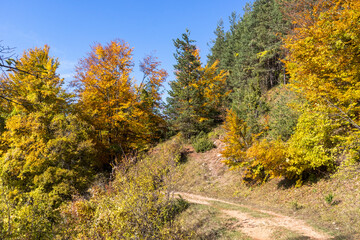 Naklejka premium Autumn Landscape of Erul mountain near Kamenititsa peak, Bulgaria