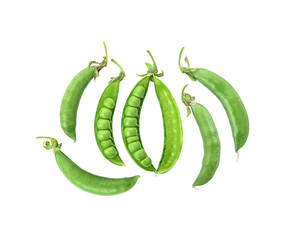 Edamame isolated on white background
