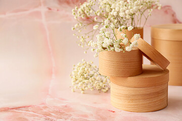 Boxes with beautiful gypsophila flowers on color background
