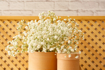 Boxes with beautiful gypsophila flowers near wall