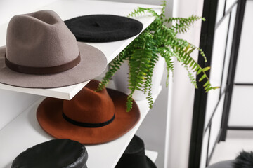 Felt hats on shelves in wardrobe, closeup