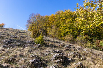 Autumn Landscape of Erul mountain near Kamenititsa peak, Bulgaria