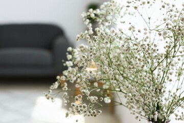 Vase with gypsophila flowers in living room, closeup