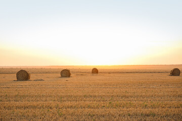 Harvested wheat field with hay bales