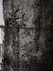 Abandoned rustic wall with damp and moss, background