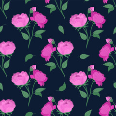 Vector seamless pattern with pink peonies on a dark background. Floral pattern with peonies. Floral print for printing on paper and fabric