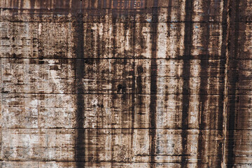 tree wood trunk texture, close-up