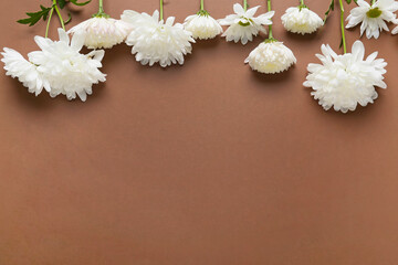 White chrysanthemum flowers on color background, closeup