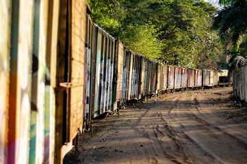 Old colorfully painted abandoned train carriages illuminated by sunset