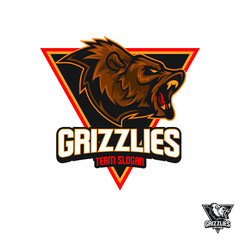 Bear roar sport logo mascot