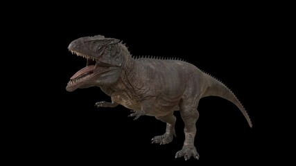 Hybrid Giganotosaurus Cinematic roar animation of background, 3d rendering