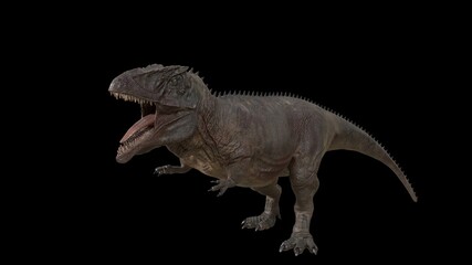 Hybrid Giganotosaurus Cinematic roar animation of background, 3d rendering