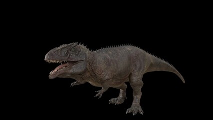 Hybrid Giganotosaurus Cinematic roar animation of background, 3d rendering