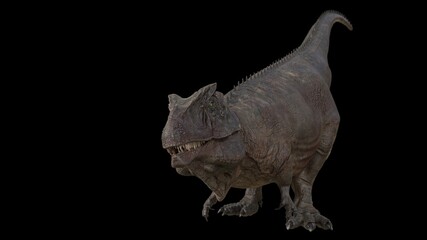 Hybrid Giganotosaurus Cinematic roar animation of background, 3d rendering