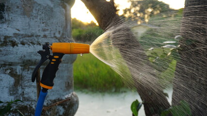 watering hose for plants