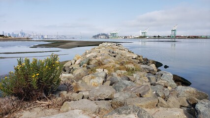 nature park in the bay