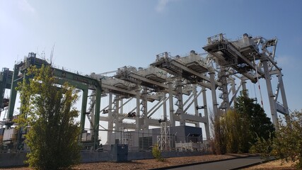 cranes at the port