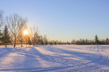Obraz premium Winter morning landscape