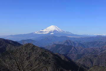 丹沢の山から見る富士山