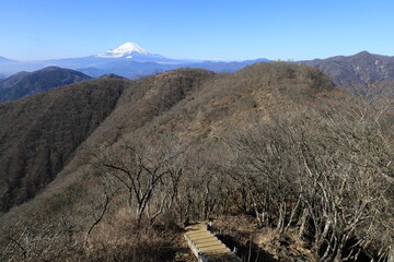 丹沢山塊から見る富士山