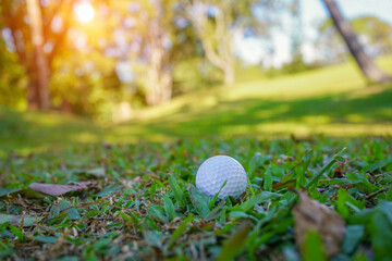 Golf ball is on a green lawn in a beautiful golf course with morning sunshine.Ready for golf in the first short.Sports that people around the world play during the holidays for health