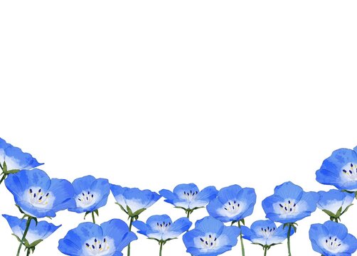 瑠璃唐草 Images Browse 1 256 Stock Photos Vectors And Video Adobe Stock