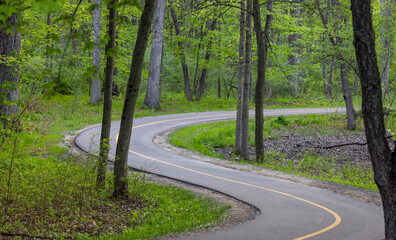 Tall trees and winding bike path in Michigan countryside