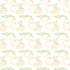pattern outline of a colored tangerine. Vector illustration