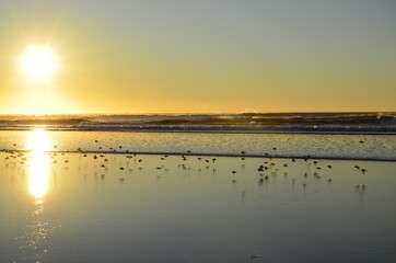 Obraz premium oregon. beach, 