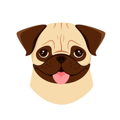 The head of a cute pug on a white background. Cartoon dog design.
