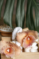 Fototapeta na wymiar Spa composition with Thai orchid flowers and bath accessories.