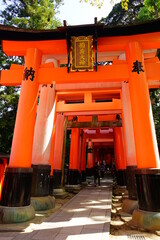 Torii at Fushimi Inari Shrine in Kyoto, Japan - 日本 京都 伏見稲荷大社 鳥居	