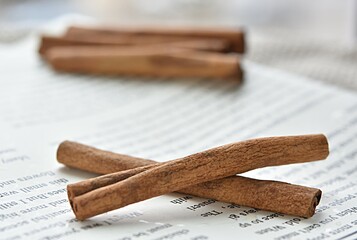 cinnamon sticks on the background of fresh newspaper
