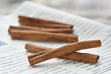 cinnamon sticks on the background of fresh newspaper