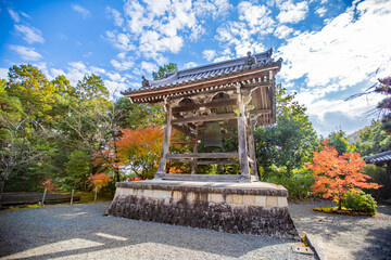 京都　 光明寺の紅葉
