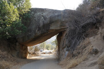 カリフォルニア州　セコイア国立公園　岩のトンネル
