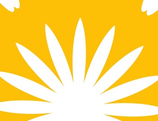 Pattern background inspired by sun and flower