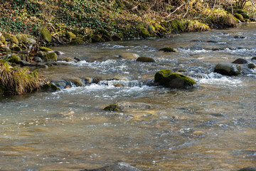 Mountain river among stones and trees. Close-up of boulders in water. Huge stones in green moss. Bbeautiful landscape of fast river with small whirlpools and waterfalls around stones.