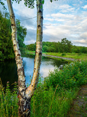 Fototapeta premium lake in the forest
