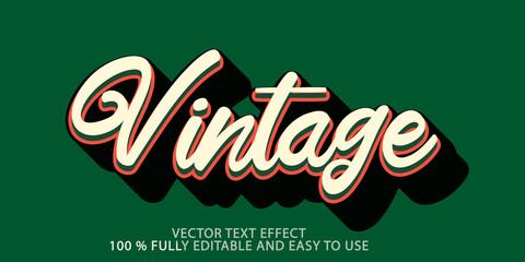 vintage vector text effect 