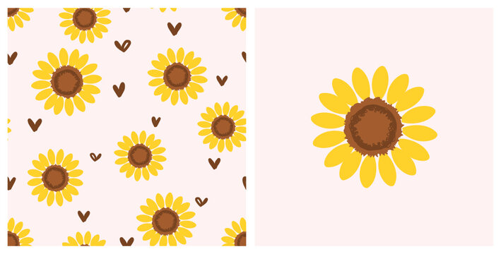 Seamless pattern with sunflower and hand drawn hearts on pink background vector.