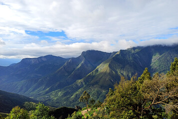 This photo clicked en route Valparai a nearby hill station in Kerala.