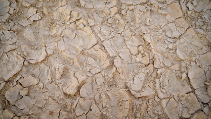 dry earth background texture