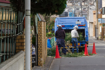 植栽作業　田柄、練馬区、東京、日本