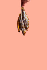 Three dried fishes on pink background, minimalistic style