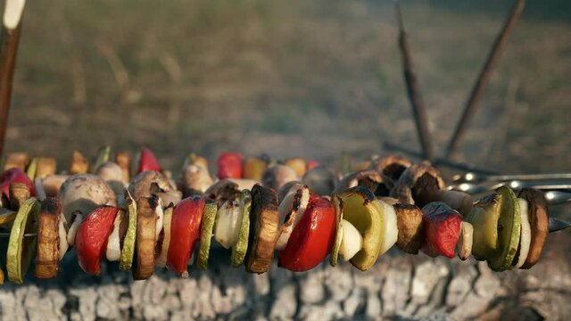 Close-up Vegan Vegetarian Kebab Vegetables on Skewer Roasting on Campfire. Cooking Vegetarian Food over Fire. Family Outing Rest Picnic Near Lake Countryside Nature Country Rural Summer. 2x Slow motio
