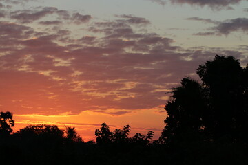 Orange light ,silhouette and clouds sky in the morning